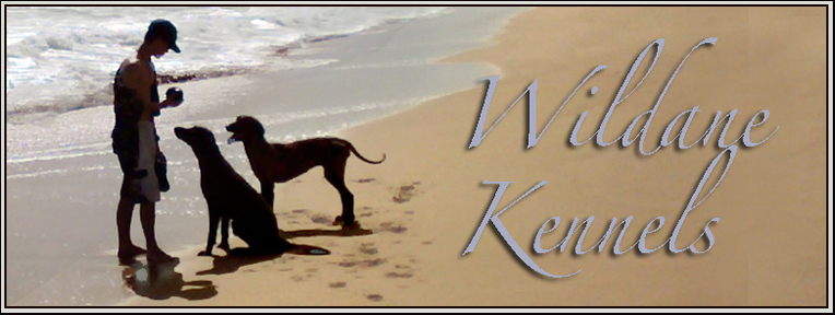 Wildane Kennels puerto rico pet movers travel boarding pickup service